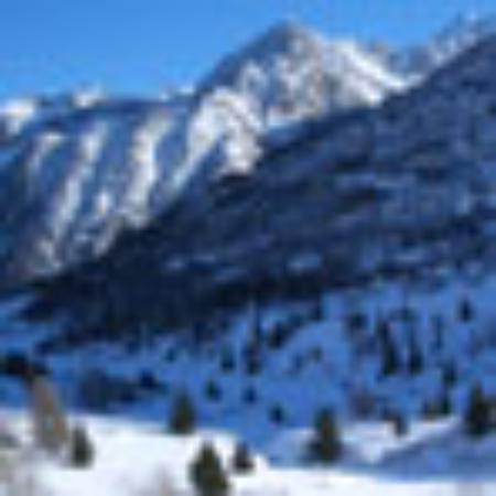 Bar Cafeteria Es Dolc