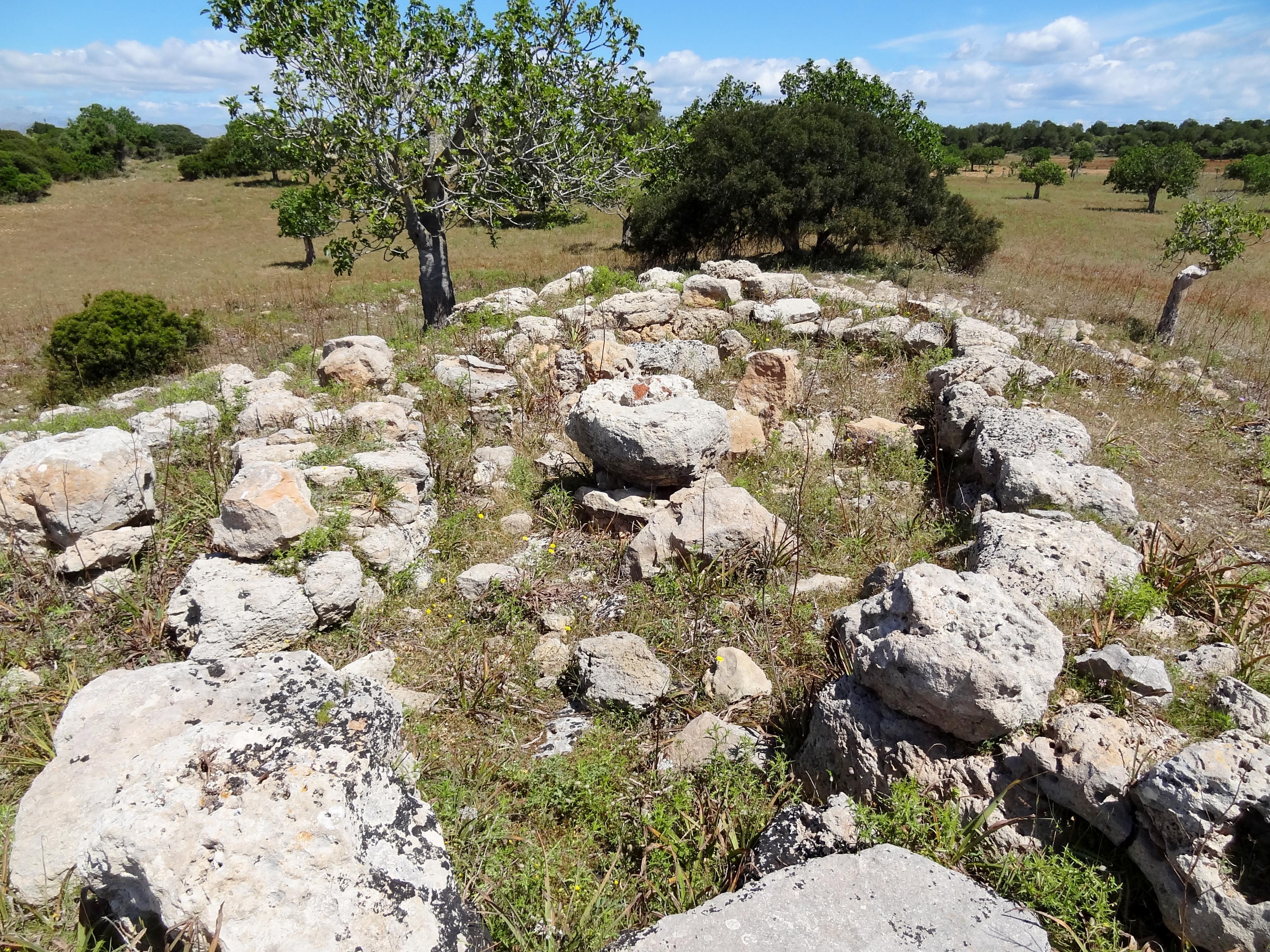 Figueral de Son Real