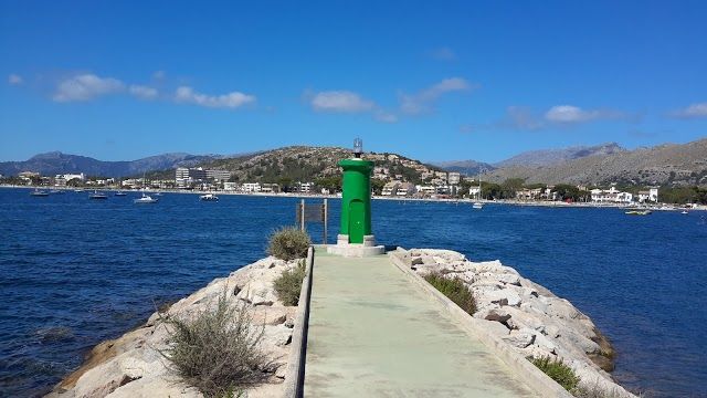 Pollensa Port