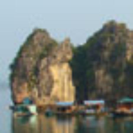 Pizzeria Selva Negra