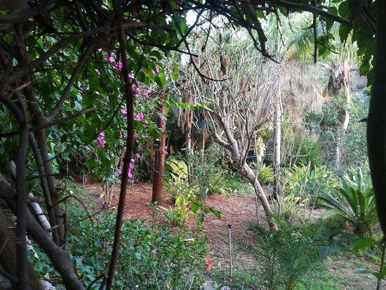 el Parque Tropical Jumaica