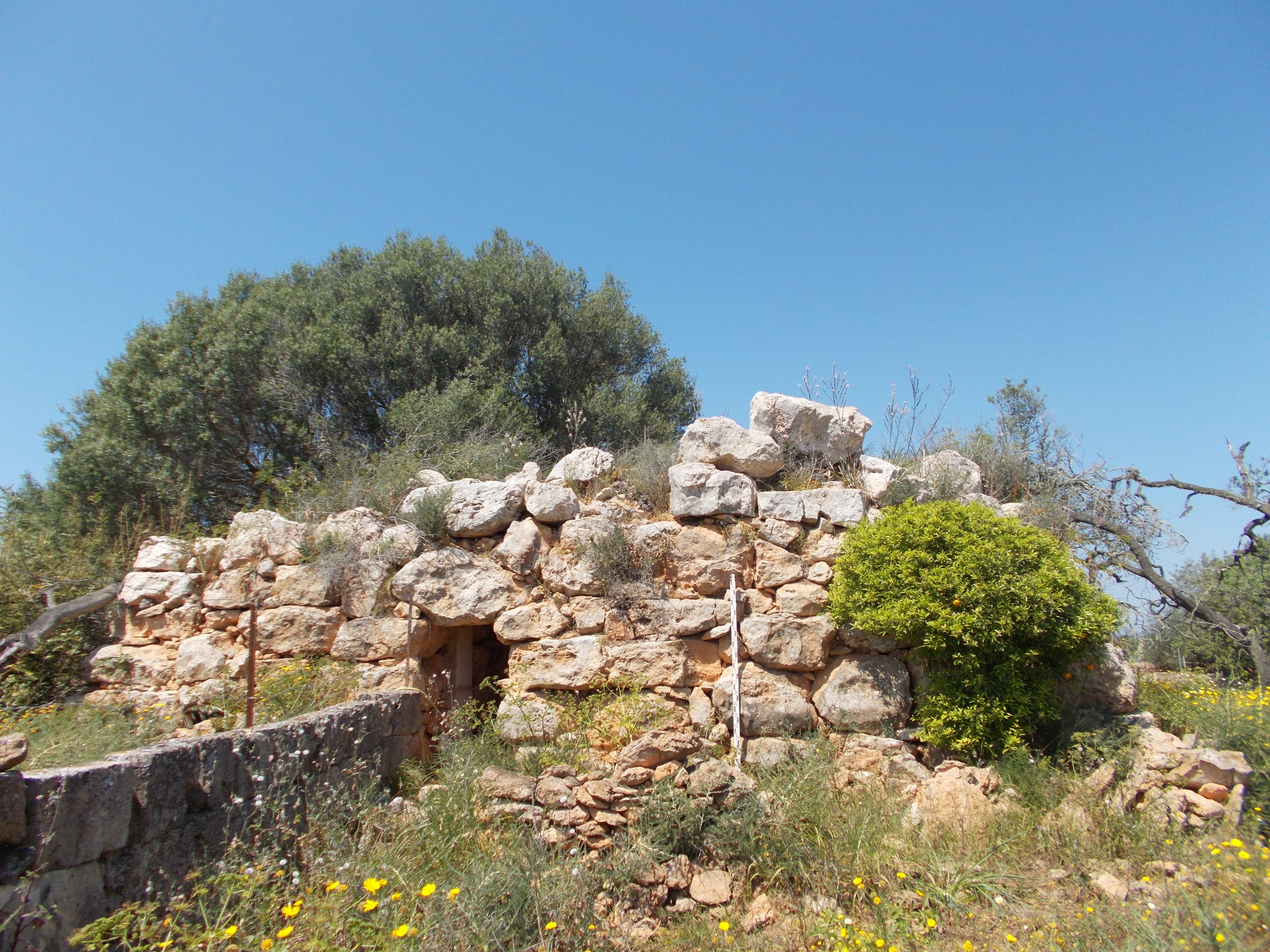 Talayot de Son Taxaquet