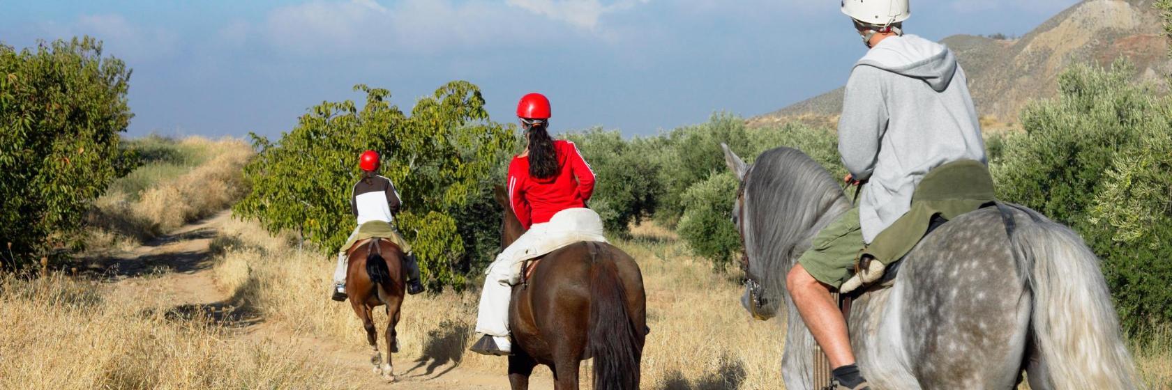 Parque Rancho Grande